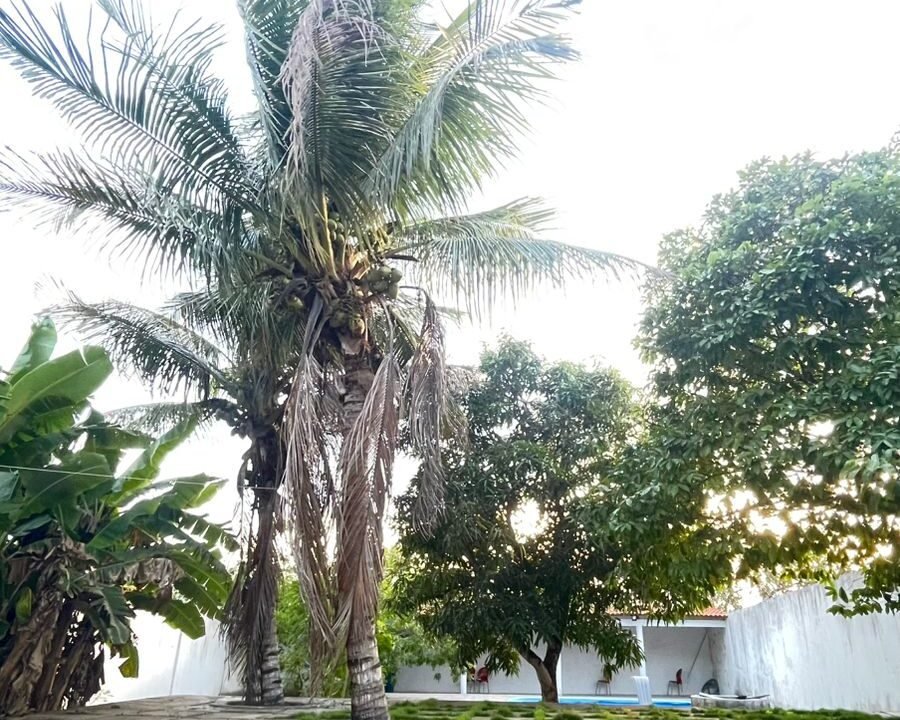 WhatsApp Image 2026-03-24 at 20.32.54