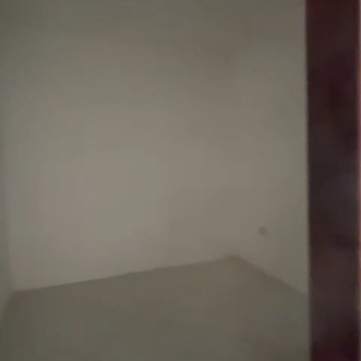 54383